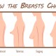 How the Breast Ages