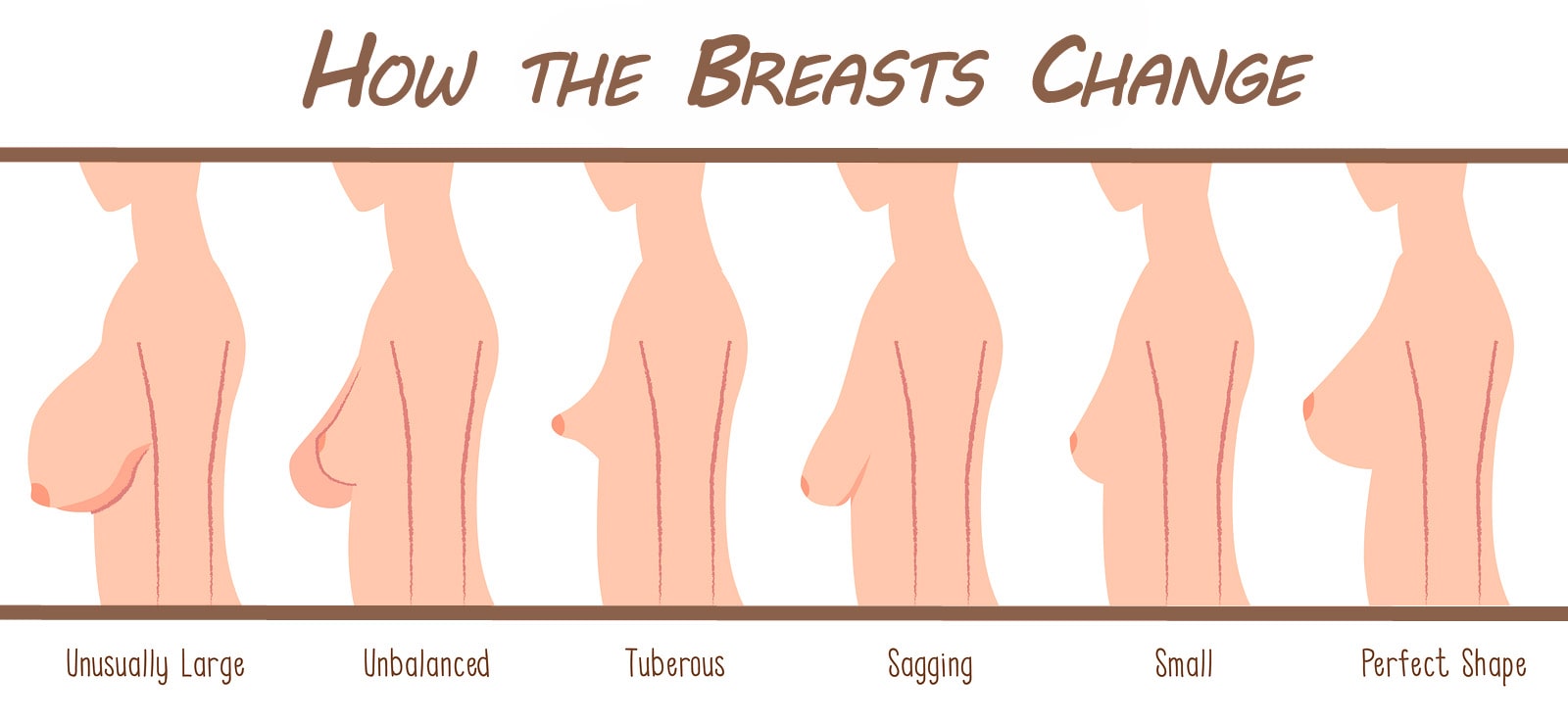 How the Breast Ages
